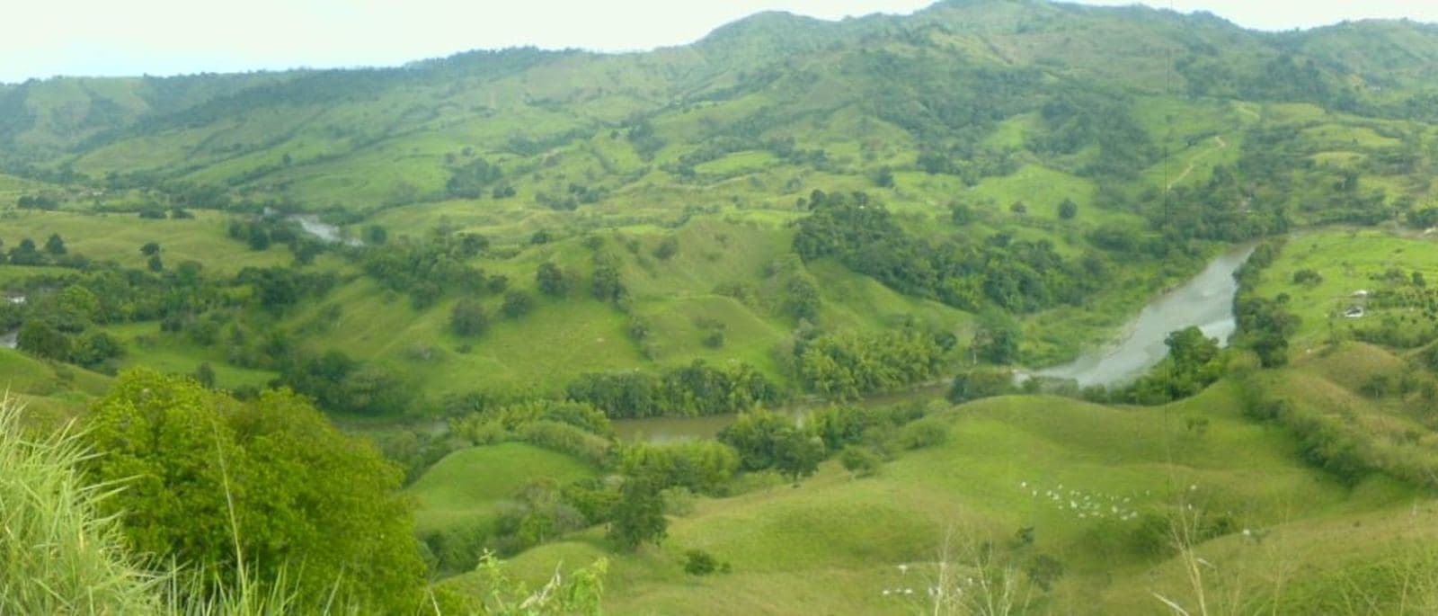 Río La Vieja desde el mirador de Cerritos